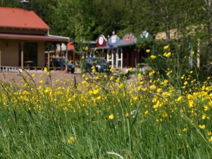 照片: Old West Ranch